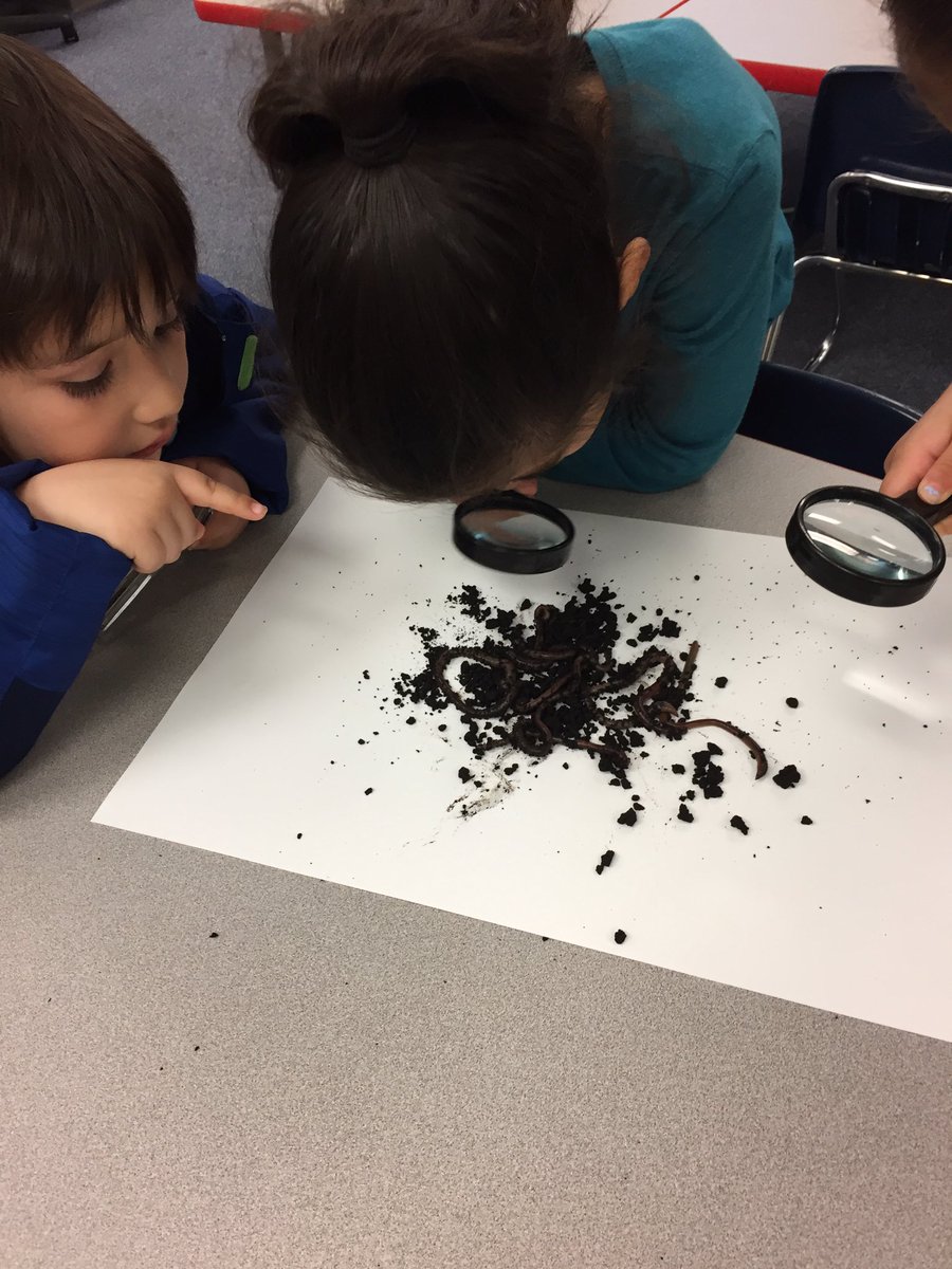 AlvarexMaria's tweet photo. Kindergarten scientists https://t.co/iZf8PFH3Qk