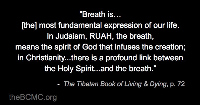 MichaelMalley54's tweet photo. #WatchingTheBreath, it is sometimes possible to sense the exchange that is taking place between your lungs and the outer air. Taste this relationship - how the body wants this air &amp; transforms it, and how the air “allows,” even participates in, this transformation with your body. https://t.co/XavFDBpsrO