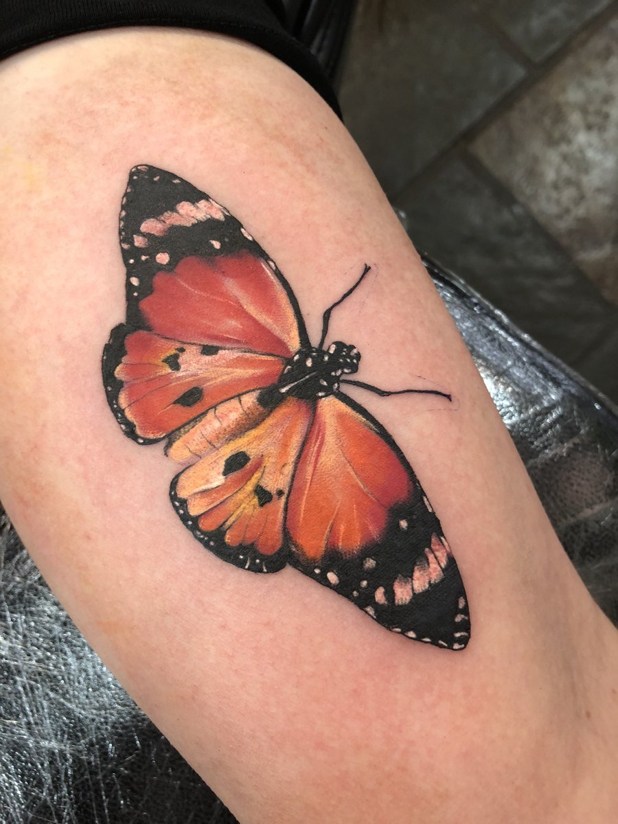 ash 🦋 tweet media