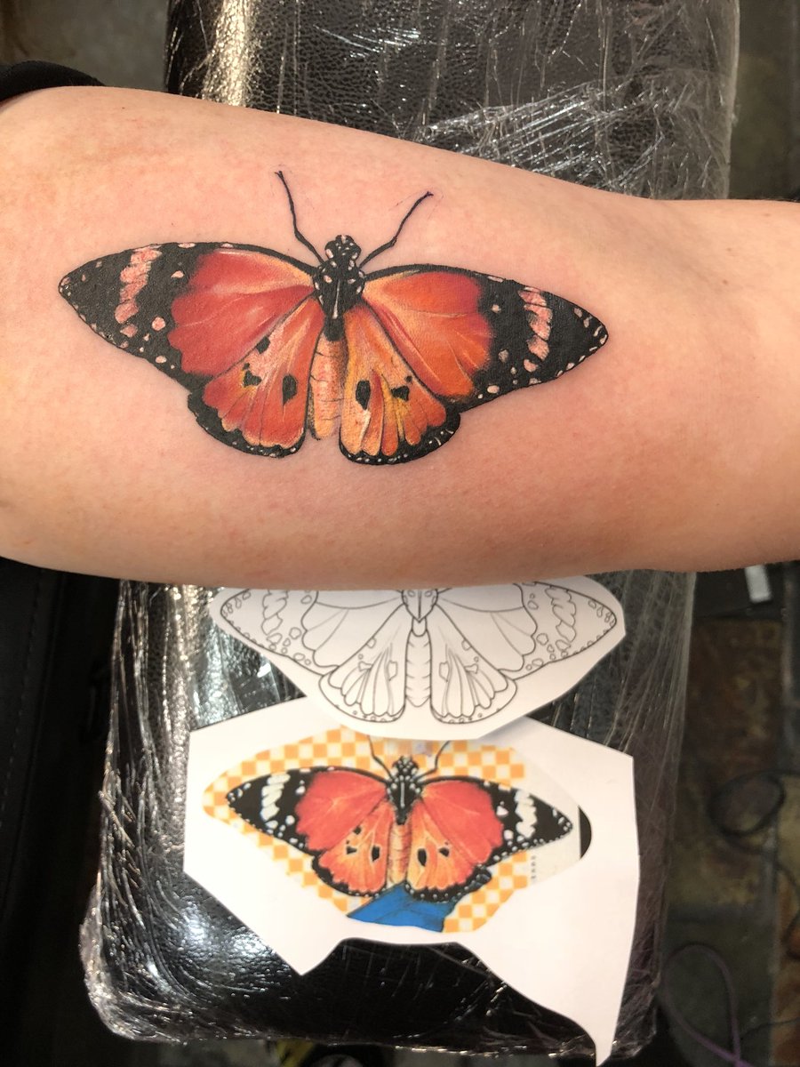 ash 🦋 tweet media