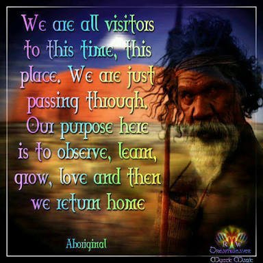 Weekend thoughts...
Observe. Learn. Pay your respects to Country. Grow & find #strength in our resilient culture.
#Resilience #resilient 
#mindfulness 
#prideinculture
#culturalstrength
#country