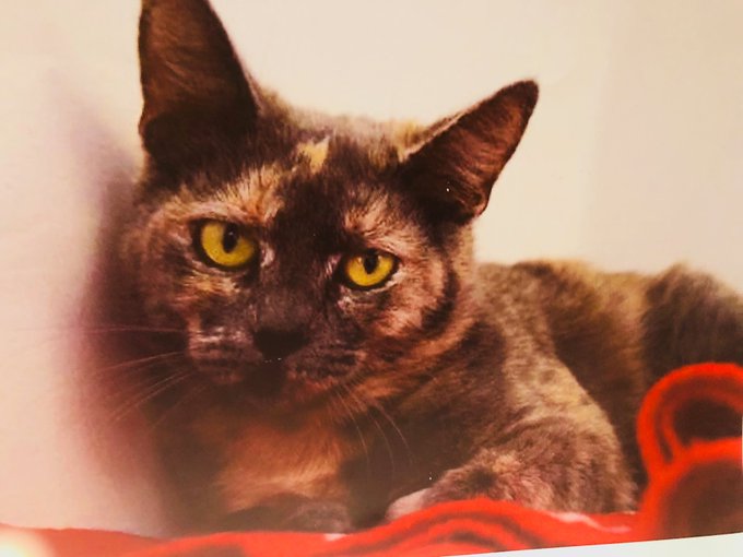 Watch Jillian Barberie's leaked NSFW photo on TwXstars