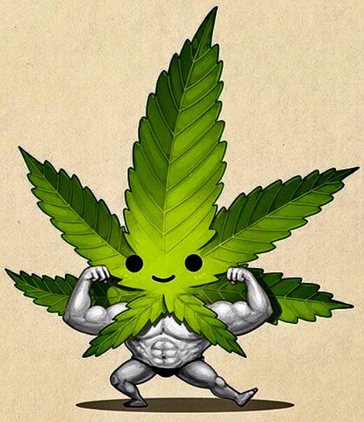 NorCalStoner420's tweet photo. May Your #Weed Be Strong
As The Day Is Long🍃 https://t.co/eQILLVxkbd