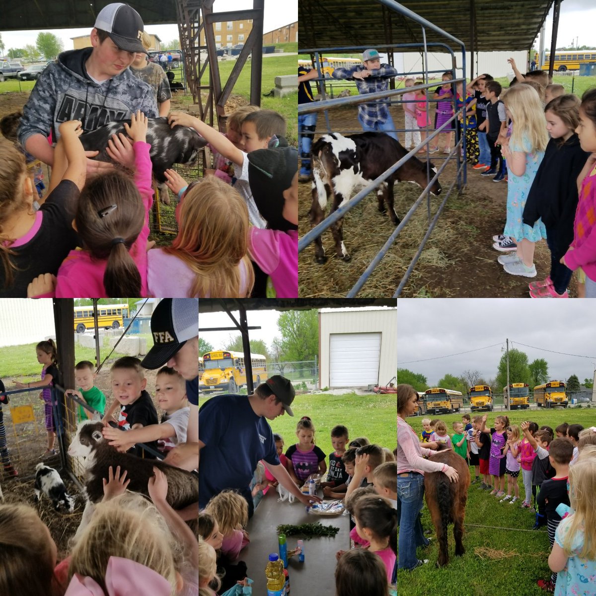 SawyerKinder's tweet photo. Pjs and farm animals... Could there be a better day!?! Thanks MCE FFA for sharing! #FoodforAmerica #MCEPride https://t.co/AFq1Fbc5Tn