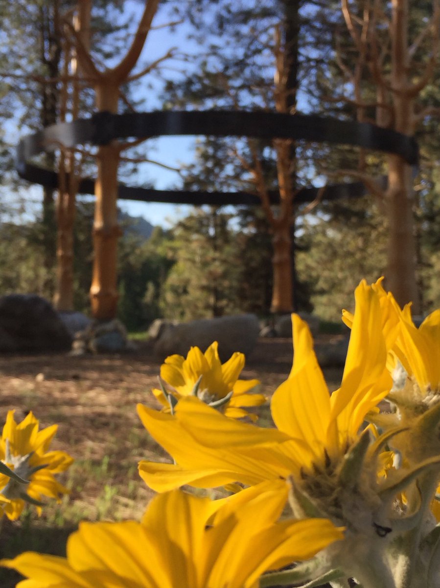grunewaldguild's tweet photo. We’ve enjoyed a gorgeous week for Sacred Arts! Today is our last full day together. Check out our Sacred Arts album on Facebook... and think about joining us for a summer week! https://t.co/tSSm284SVX https://t.co/tOjkeiysln