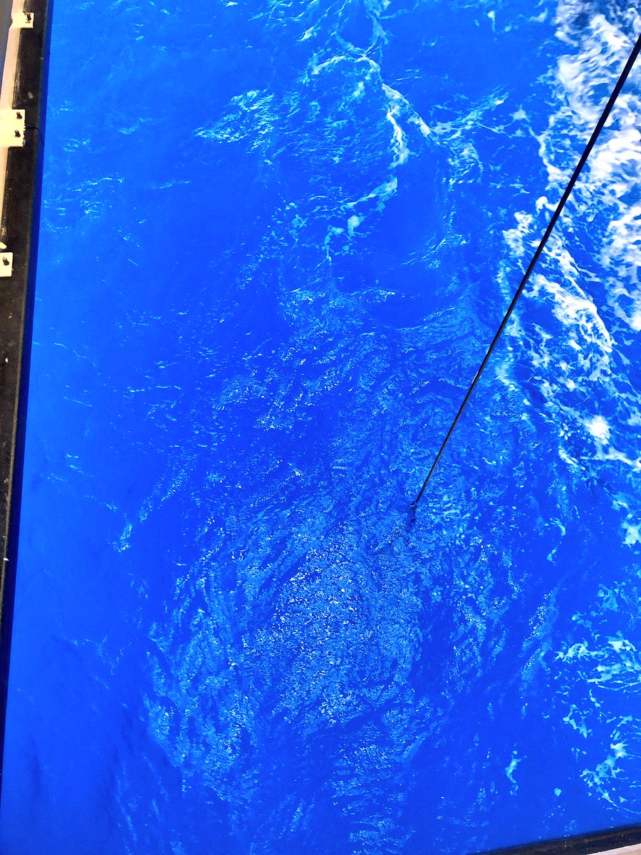 planktomancer's tweet image. Is that @POWERADE ? No! It’s offshore ocean water seen from the moon-pool of the RV/Western Flyer while ROV Doc Rickets is 500m underwater sampling jellies. #DEEPC++