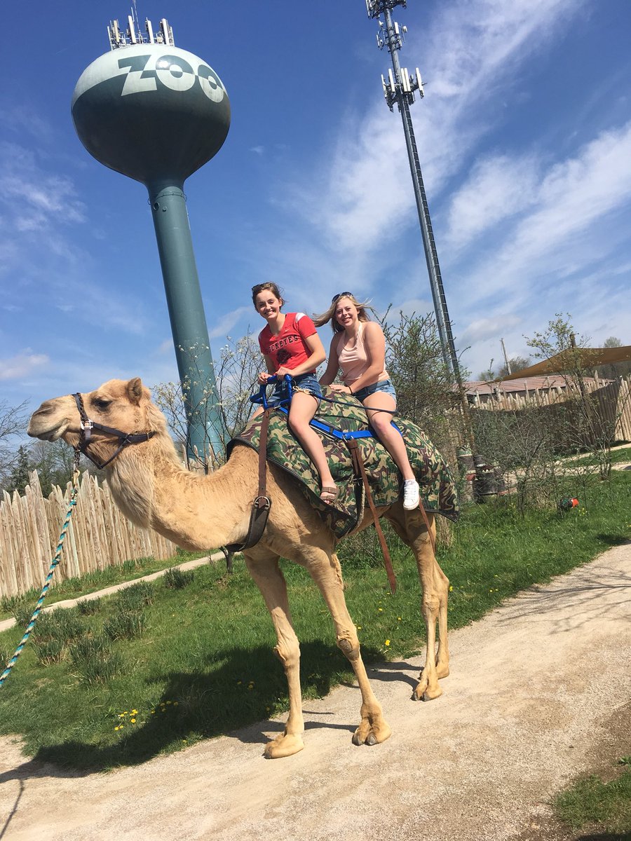 HolgateFFA's tweet photo. Enjoying the day at the Columbus Zoo! #ICanWeWillFFA 💛💙 #humpdayonafriday https://t.co/deVx3ewR3h