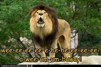Cre8iveStation's tweet photo. 8 Launches  @ChorusChoirs 
this #week and The Mighty Jungle is alive with the sound of  #music  .......
Well prickly pears n raw paws, thunder n lightening , Gonyas' n Mas', recorders, kazoos' and #Lions  who are too noisy to be #sleeping  🦁.....
 This term's gonna be fun 😁 https://t.co/CLTHDptooR