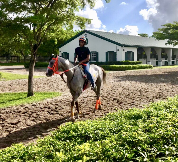 TropicalRacing's tweet photo. Tropical Soirée #tropicalracing #KYoaks19 #HorseRacing #FLbred https://t.co/05d22DKqpv
