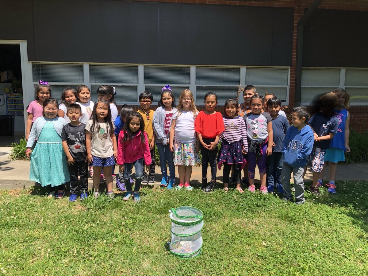 RoarksReef's tweet photo. Exciting end to the week-releasing our five butterflies #bcpshuskies https://t.co/w24OlcFj2T