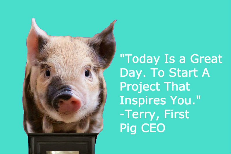 Pig_CEO's tweet photo. Yesterday Is In The Past. You Have Today To. Make Yourself Maximum Happy. #Farm #Life #Conference #FarmLifeConference #Inspires #SEO #PPC #Social https://t.co/BMrtN83c23