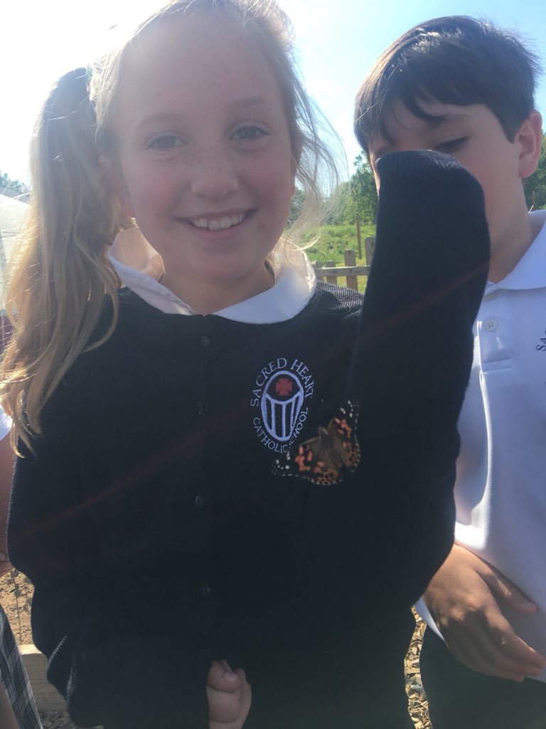 shcs_sunshine's tweet photo. Butterfly release. They kept hanging out with us even when released. https://t.co/tLLmvKiw6H