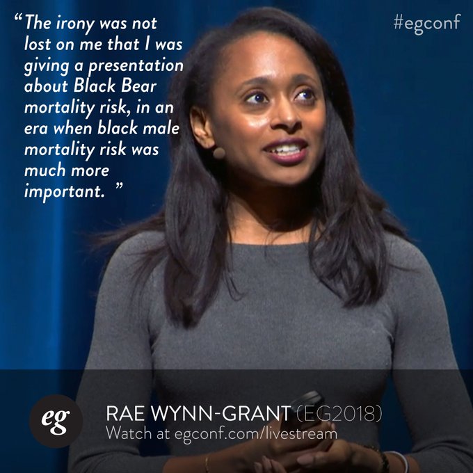 EG Conference’s pics and videos