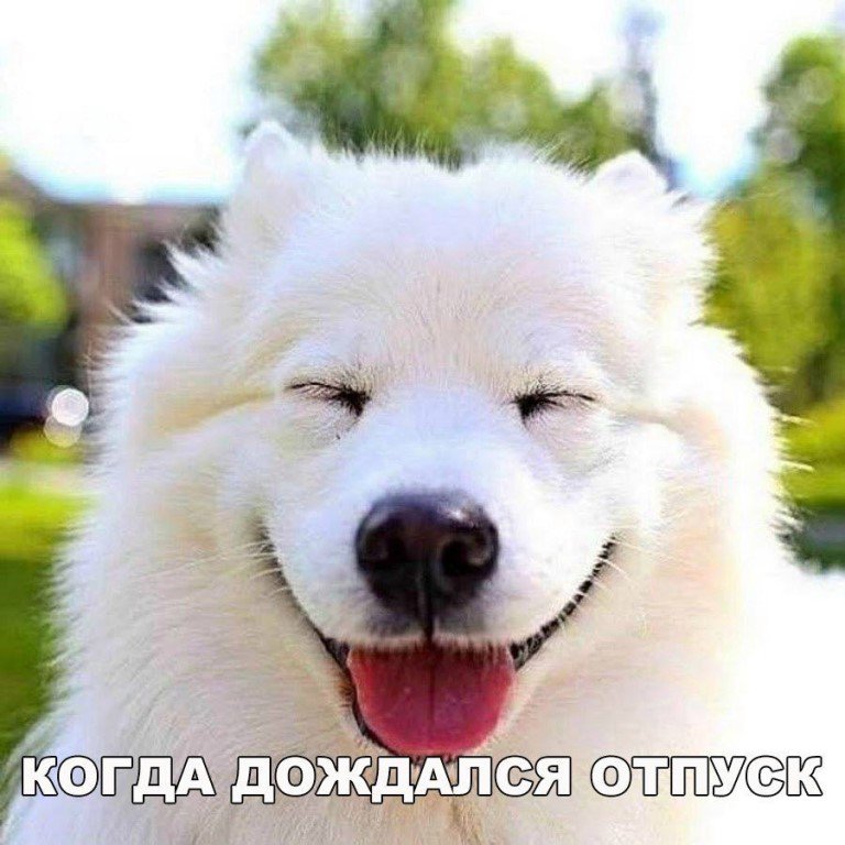 Виктория Жильцова (@g9269540380) on Twitter photo 