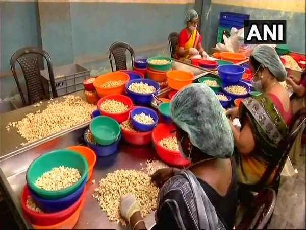 ani_digital's tweet photo. The #cashew industry in #Kerala has lately been facing a crisis, as over 90 percent of the factories have shut down, leaving lakhs of workers unemployed

Read @ANI story | https://t.co/8SHmBov2cJ https://t.co/Z4VHduJ2no