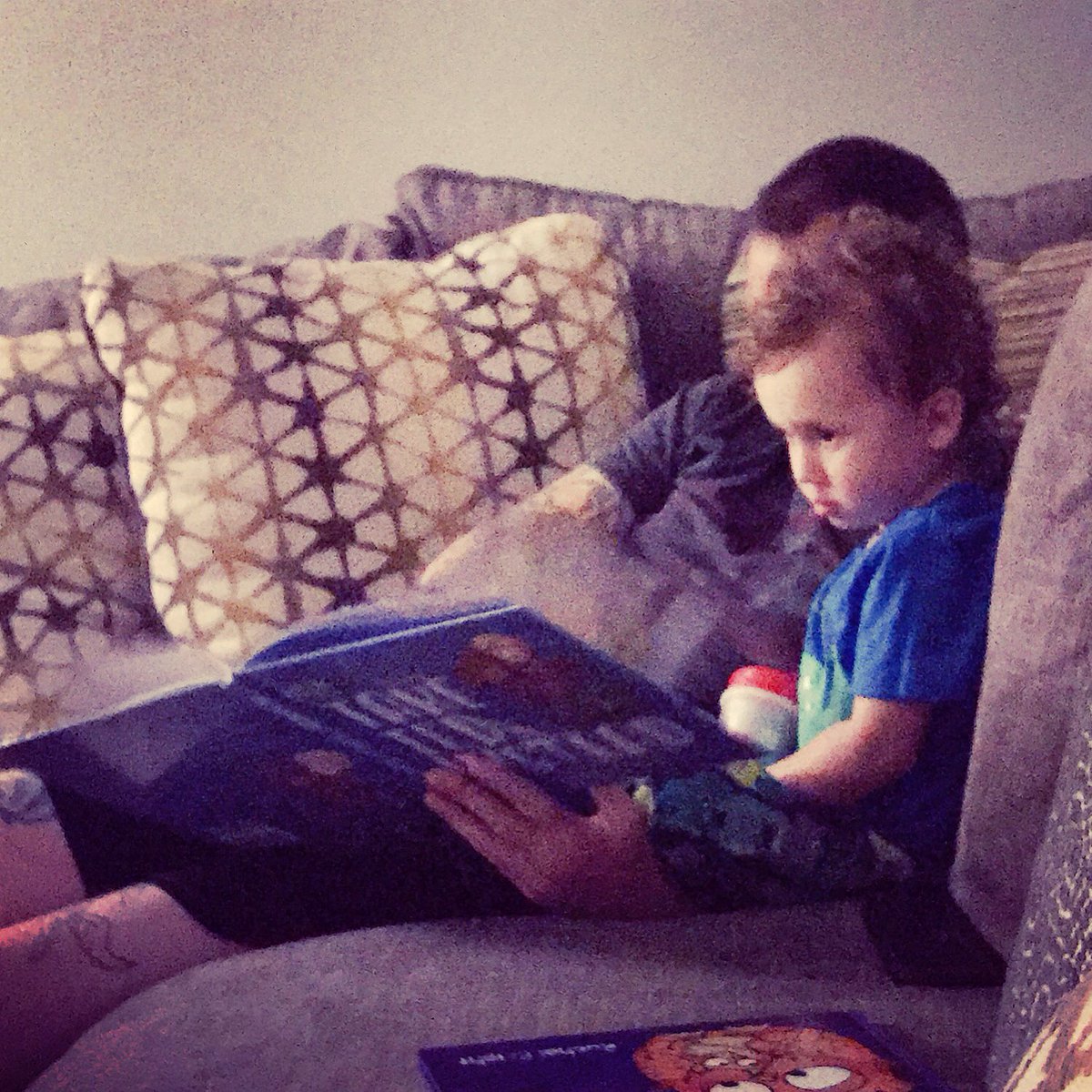 ShillingErin's tweet photo. Eli loves his two new books (Take Ted Instead &amp; Love You Hoo) especially when daddy reads them! #screenfree #usbornebooksandmore #booklady #ToddlerLife https://t.co/CBMC8Qn1o9