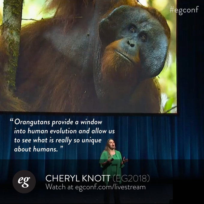 Cheryl Knott brings us into her life of adventure! #egconf https://t.co/jgUybKFNSo<a href="/tag/egconf"class="tags"><span>#egconf</span></a>