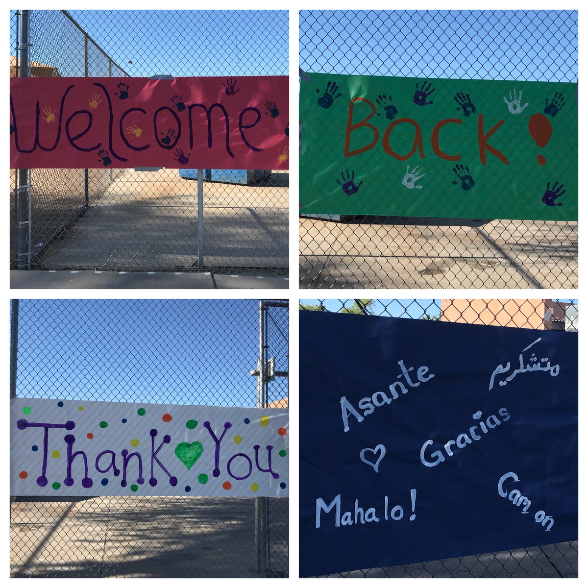 Bologna Elementary (thuypadilla_az) Twitter