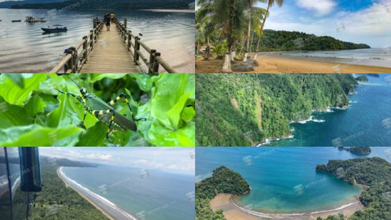 NoticiasRCN's tweet photo. #EnImágenes 📷: Bahía Solano, uno de los lugares más biodiversos del mundo https://t.co/cygj0WWK9I https://t.co/yP4ETapCYB