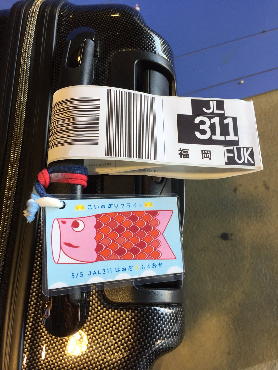 こいのぼりフライト、グッズ紹介✈️／ こちらは、こいのぼりフライト