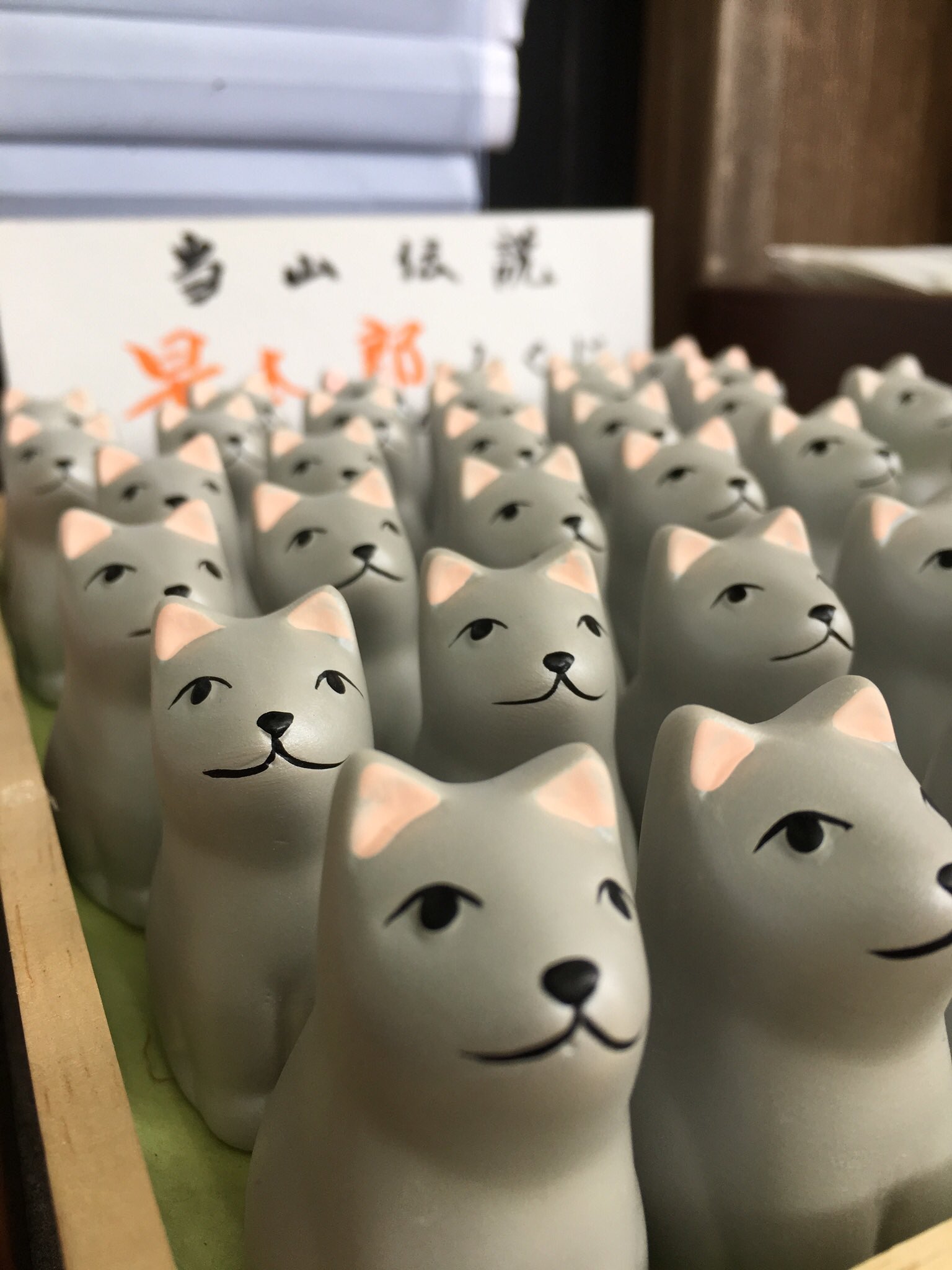 晴 Auf Twitter 光前寺 早太郎おみくじ 早太郎と格 T Co Zc712dpjmj Twitter