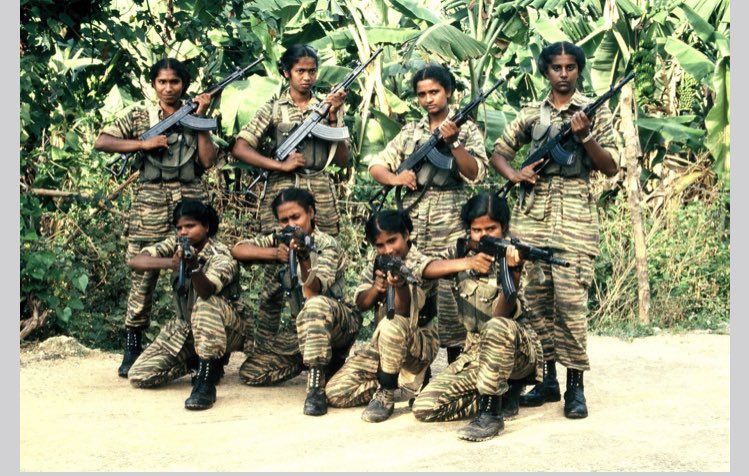 tamil eelam viduthalai puligal website tamil eelam viduthalai puligal website