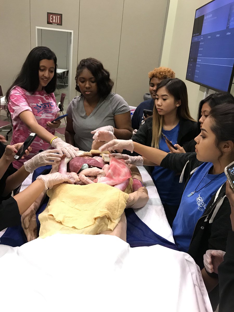 HOSA_mnths's tweet photo. HOSA field trip to The Health Museum in Houston today! We got to mess around with synthetic cadavers, touch both a human heart and a sheeps heart, and learn suturesπ©ββοΈπ¨ββοΈ #hosa #mnths #ourhouse @ManorNewTech https://t.co/BuRENFoTap