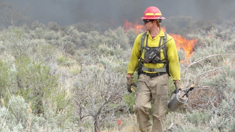 UtahWildfire's tweet image. Utah BLM reaches goal of a million acres in fuels treatments. bit.ly/BLMAcres @BLMUtah #hazardousfuelsreduction #resilientlandscapes #fireadapted #cohesivestrategy
