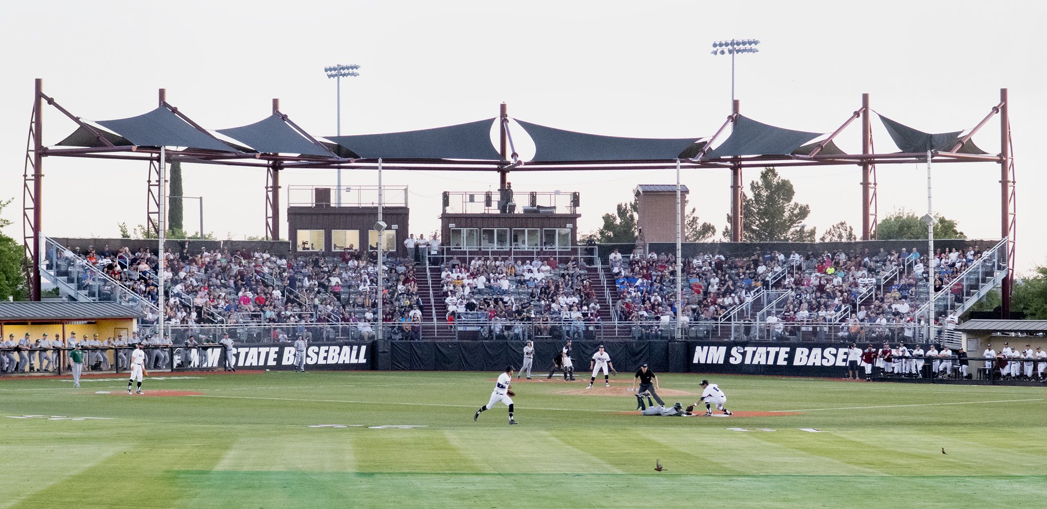 NM State Baseball on Twitter "Tonight’s attendance 2️⃣1️⃣4️⃣7️⃣ A new