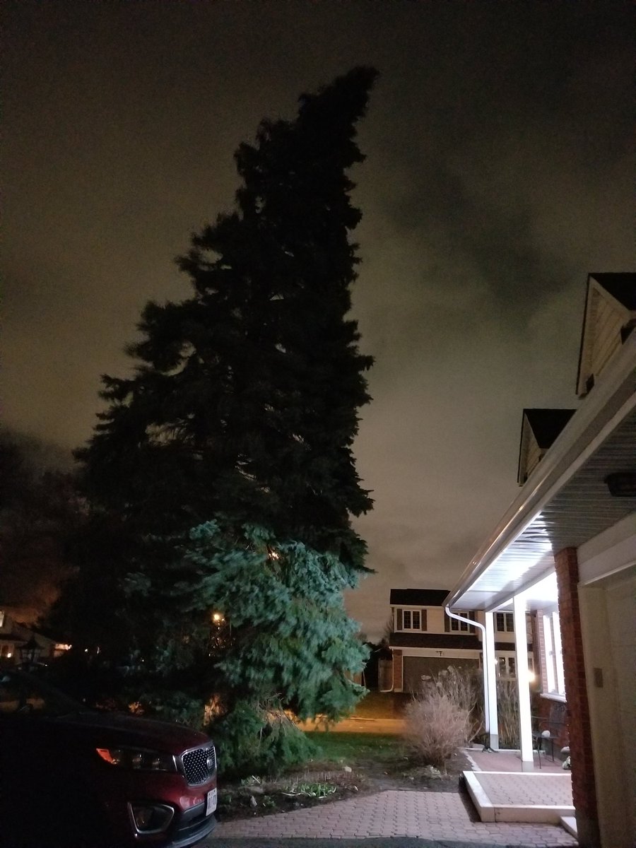 Strong winds in Ottawa tonight! 
#ONStorm #OttawaWeather