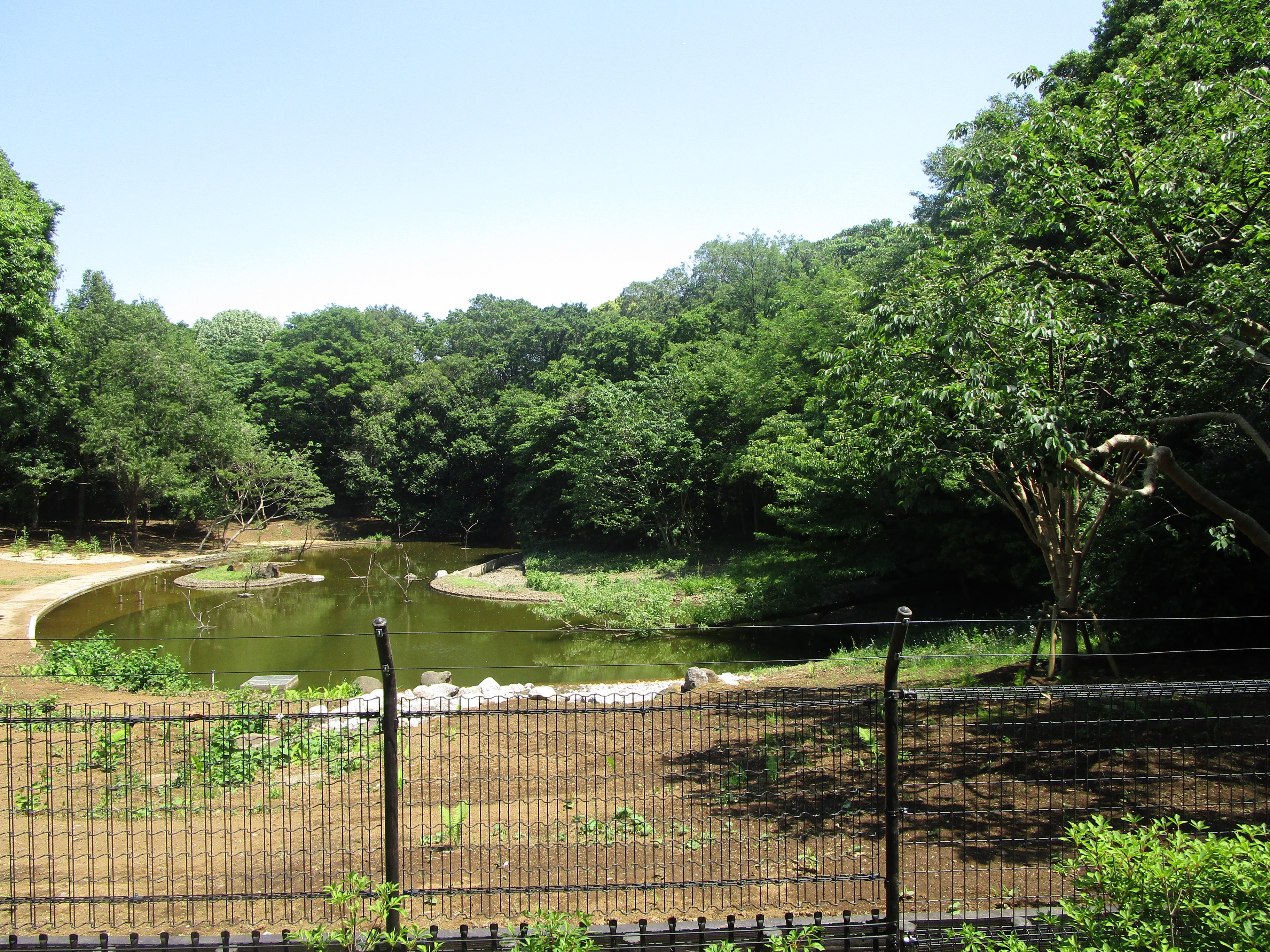 都立代々木公園 バードサンクチュアリをリニューアルしました 日本で最初に作られたバードサンクチュアリ の保全 保護のため整備を行っていました 保護柵で囲ってありサンクチュアリ内に入ることはできませんが 園内からも貴重な野鳥が観察できます