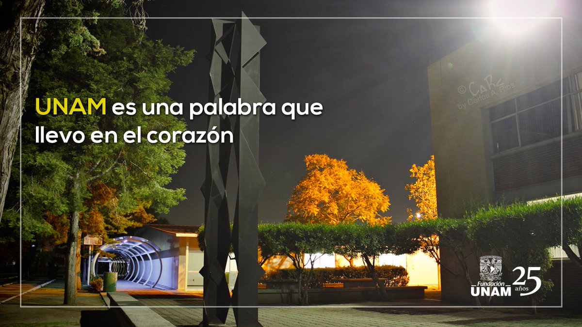 Fundacion_UNAM's tweet photo. Y la llevamos bien tatuada y con tinta de la mejor calidad porque es para SIEMPRE. ¡Buenas noches! 😍😍 https://t.co/4LihFSJmxE