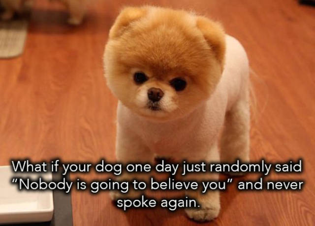 skypeogretmenim.com
Online İngilizce Ders Sitesi

Yavuz Bingöl #AfVardaBedelliYokmu #HemşirelerGünü #BaranMotors #OnlarcaRenkYüzlerceKültür #SevgidirAnneyeEnGüzelHediye Murat Dalkılıç #skype #ingilizce #online #eğitim