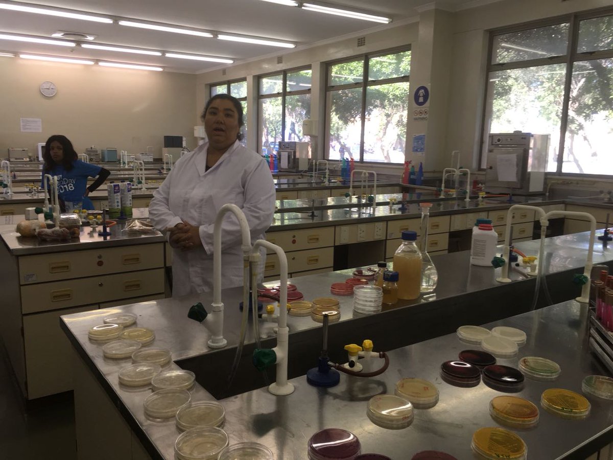 CPUT's tweet photo. Technician in the microbiology laboratory talking about good and bad bacteria. In this lab you learn about things like yeast in bread and beer. Food Science and Technology Building.
#WeAreCPUT
#CPUTOpenDay2018
#MyFutureSelf https://t.co/JHD5yzG9MW