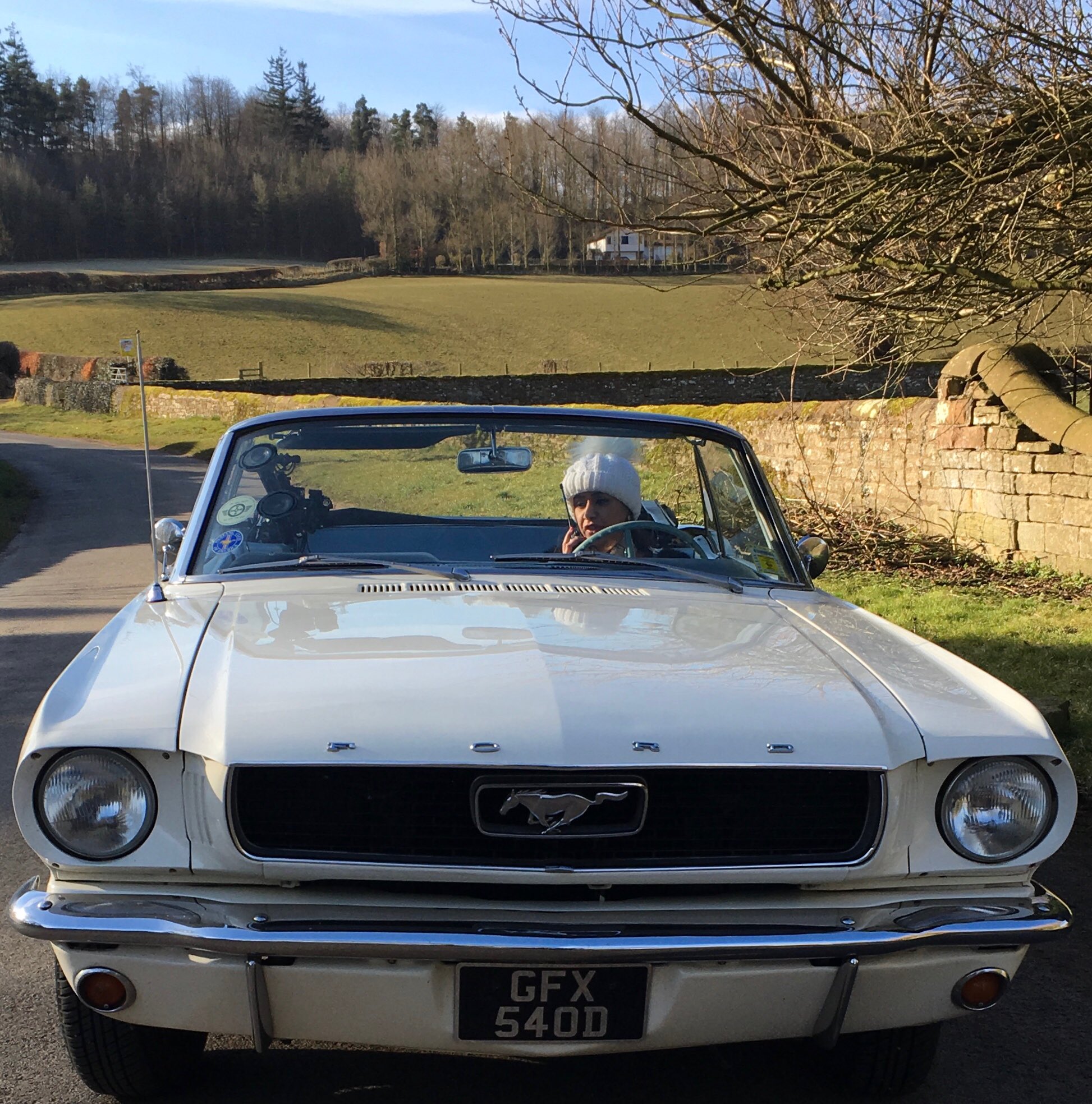 james braxton on Twitter "There was a pretty young Scot called Roo, Who wore colours of every