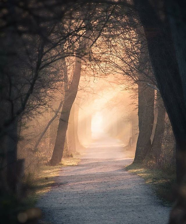 OhioPix's tweet photo. https://t.co/ZFfi2SNxwz https://t.co/bfj23te3FN