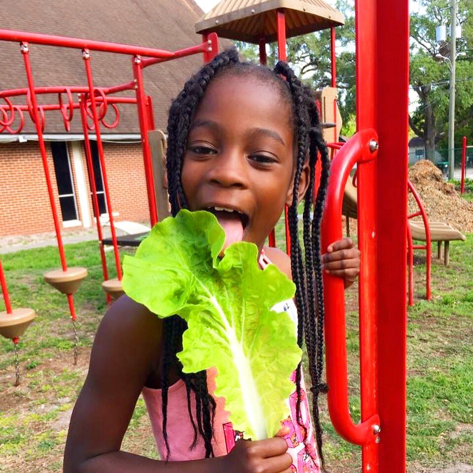 fleetfarming's tweet image. Our Parramore Branch has been quite busy @kaleysquare during the weekly @cyclesandsprouts program! These kids are having a blast seeding and harvesting more than 6 plots on site. Thank you to the #haddockfoundation for allowing us to be a part of the Kaley Square family!