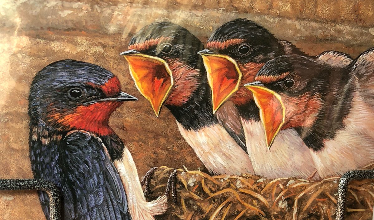 ollymoss's tweet photo. I found the original concept art for twitter. https://t.co/ZhpPJOKjUH