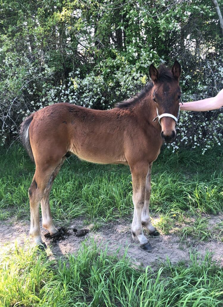 kimmoberg's tweet image. Lillebror! 🌸😍🌟 #framtiden #Afish #intejagsomvaltnamn 🤔