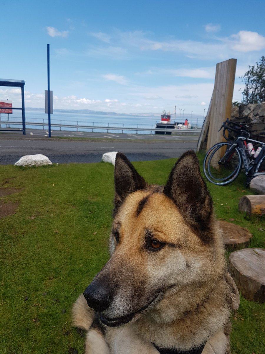Tyree0510's tweet photo. After bitter disppointment at the very dog unfriendly @Arranwhisky we found a fab sunny spot at The Sandwich Station for lunch 🐶 https://t.co/2OPHTEgHfo
