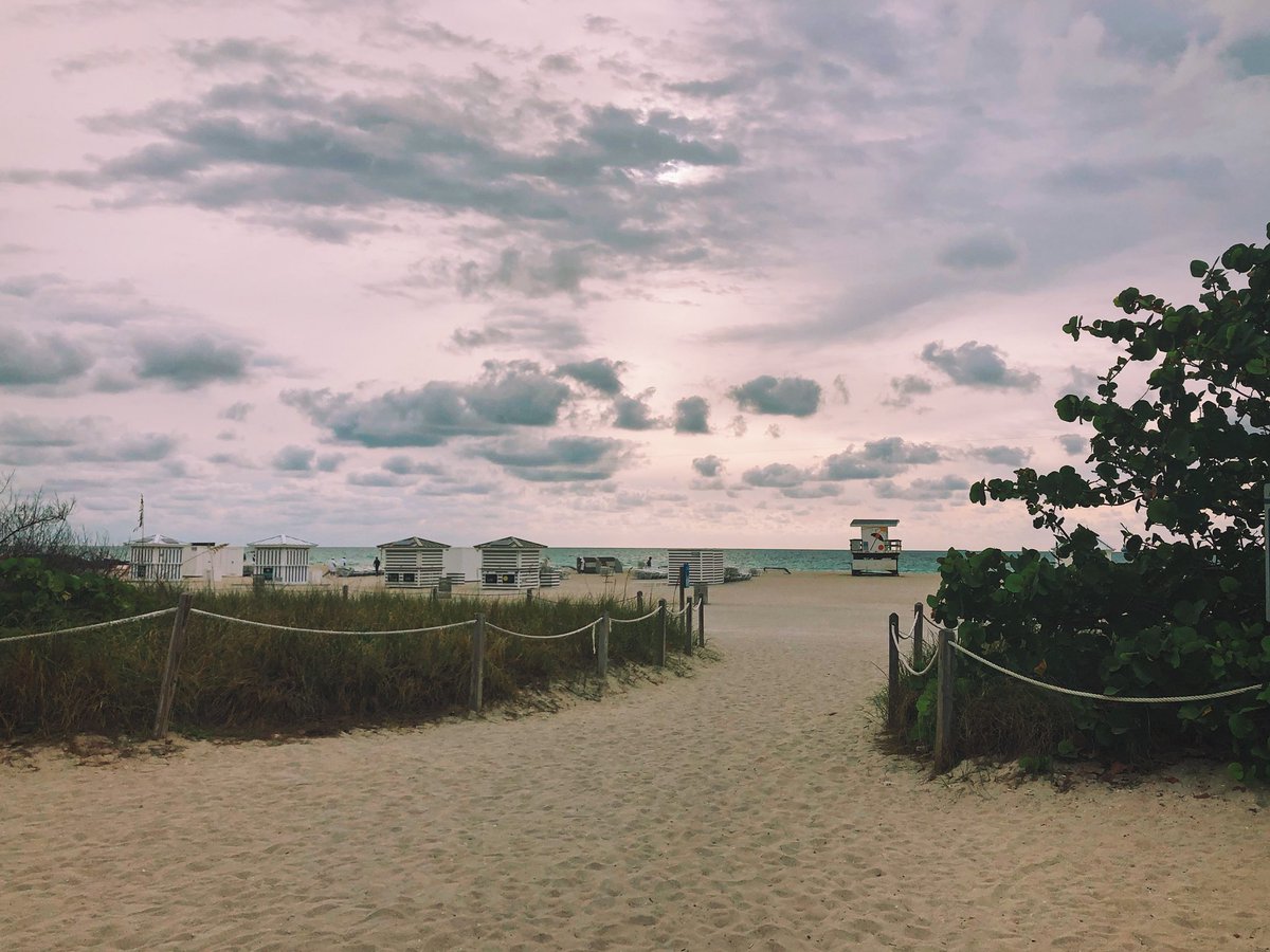 emilysharpe's tweet image. A run along the beach before the meeting this morning. #wellness @SMoeschlerMD @laurenlicatino #SOAPAM2018