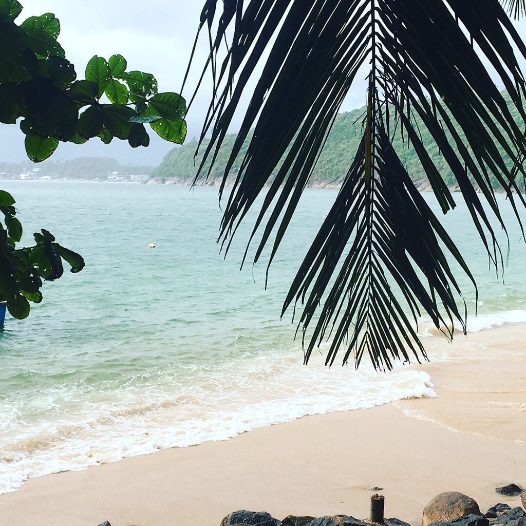 NomadSri's tweet photo. We went on a mini #hike through the jungle today and found a secret #beach just ten minutes drive from our talpe #cowork station! 

Swipe right to see our hike or send us a DM to find out more about visiting one of our #digitalnomad friendly locations in #srilanka! 🇱🇰🌴🌊 https://t.co/hGuXXbZt27