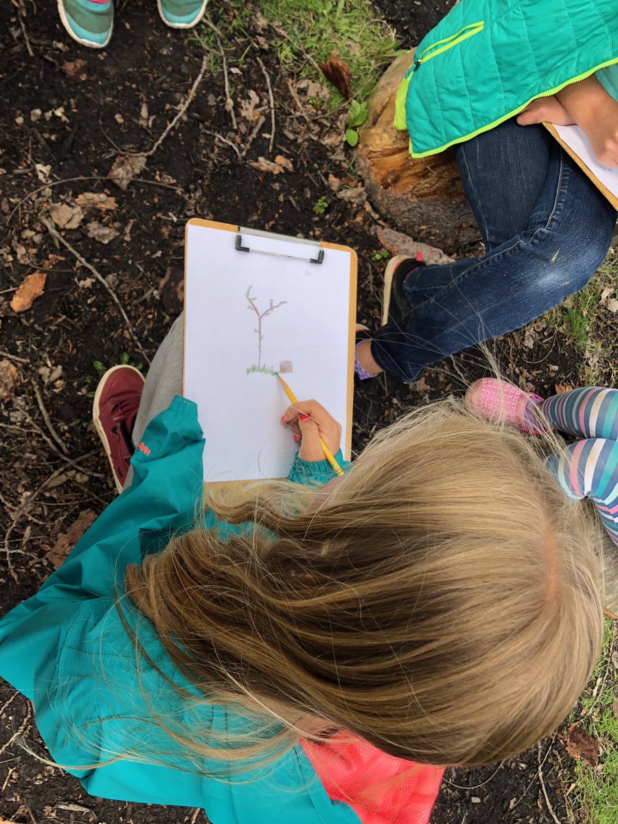 MrjVolpe's tweet photo. 4th grade spent the entire day on the @BelleShermanES Nature Trail... drawing plants, identifying plants and investigating the entire trail. Now in the coming weeks we will see what we tracked back! #4thgrade #nature #Science #outdoorclassroom @nancymthompson @Shannon80421366 https://t.co/Vx2eMveqxc