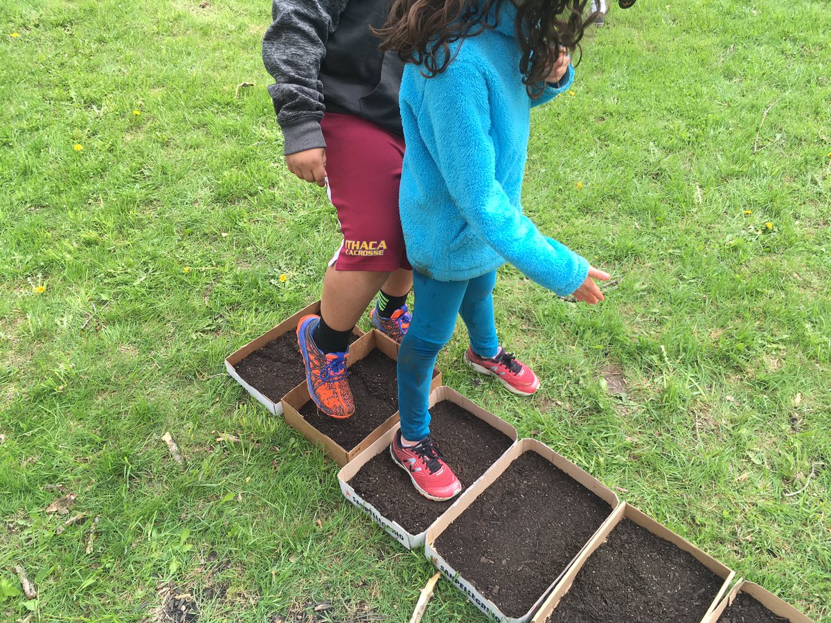 MrjVolpe's tweet photo. 4th grade spent the entire day on the @BelleShermanES Nature Trail... drawing plants, identifying plants and investigating the entire trail. Now in the coming weeks we will see what we tracked back! #4thgrade #nature #Science #outdoorclassroom @nancymthompson @Shannon80421366 https://t.co/Vx2eMveqxc