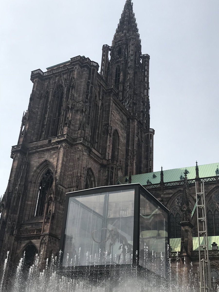 #RCSAOL : Se dire que le mammouth est plus fort que le Lion ? #strasbourg #cathédrale ##culture #exception  Et ce soir, tous à la Meinau pour le match du maintien ! #@UltraBoys90 <a href="/romaingiraud02/">Romain Giraud</a> <a href="/gilbertbrisbois/">Gilbert Brisbois</a> <a href="/GoussetEric/">Eric Gousset</a> @RCSLive <a href="/RCSA_Addict/">RC Strasbourg Addict</a> <a href="/AlainFontanel/">Alain Fontanel</a>