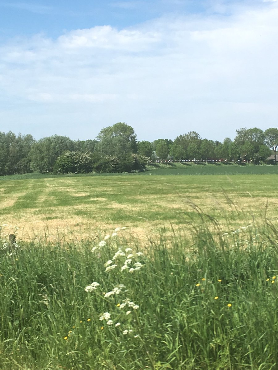 ZHE tour (@zhetour) on Twitter photo 