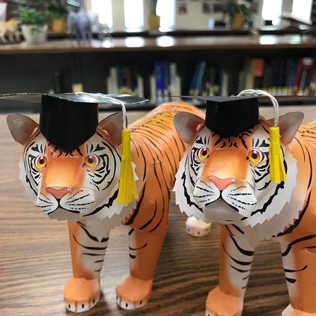 MizzouLibraries's tweet photo. The Zalk Library Party Animals congratulate the Class of 2018! Happy graduation weekend, Tigers! M - I - Z! . . . #ZalkLibrary #Mizzou #LibrariesOfInstagram #TigersOfInstagram #MUGrad #MizzouMade https://t.co/r5DSBY7EbK https://t.co/TIWpDpXuoQ