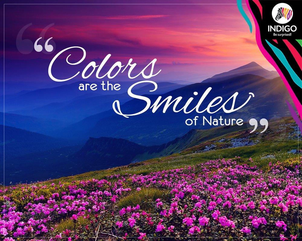 indigopaints's tweet photo. Colors are the most integral part of nature! And even nature uses it to display many of its gestures. ππ
#IndigoPaints #Colors #Colours #Paint #ColorQuote https://t.co/Oq0YzEVZCb