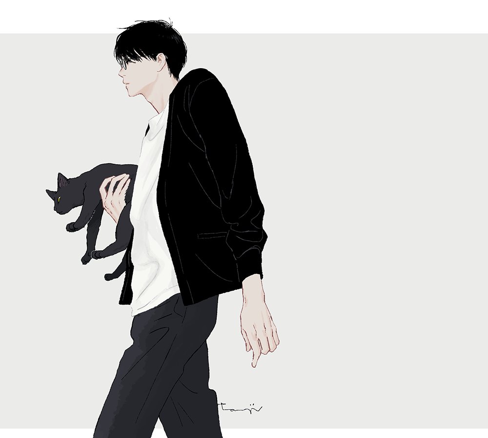 運ばれる猫