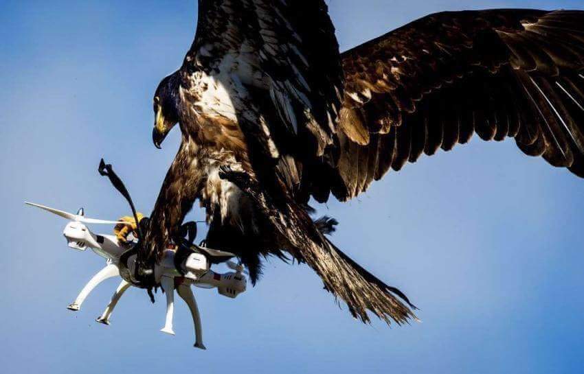#drone in #noflyzone m.facebook.com/story.php?stor…